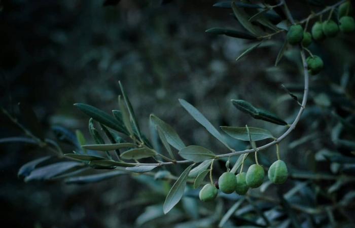 Vous ne devinerez jamais quelle partie de votre cuisine est un terrain fertile pour les bactéries ! – Masculin.com