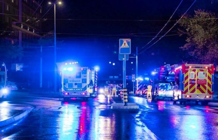 Malade, excentrique, il aurait mis le feu aux tours du Lignon