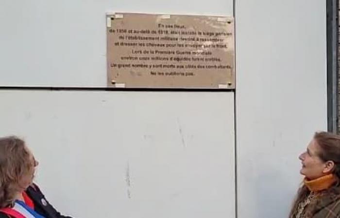 une plaque commémorative rend hommage aux animaux de la Grande Guerre à Paris