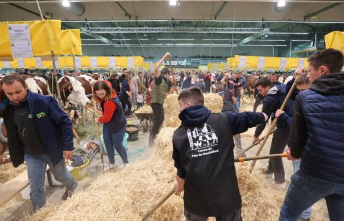 il ne reste que quelques jours avant la fête de l’élevage