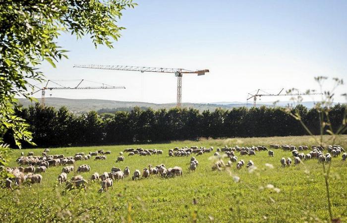 Le Larzac, sublime sous l’objectif de Philémon d’Andurain