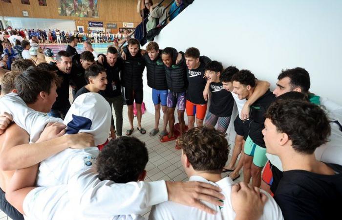 « Il est comme nous sauf qu’il a percé… » Immersion avec les coéquipiers du nageur star au TOEC Dauphins