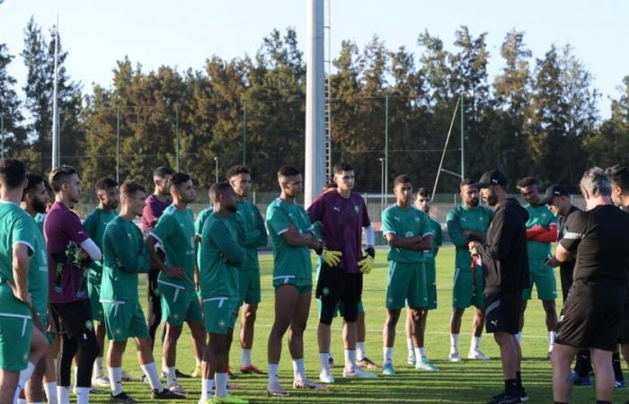 Les lions de Tarik Sektioui lors de l’entraînement préparatoire à Salé