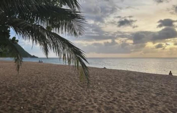 Côté nature des Petites Antilles