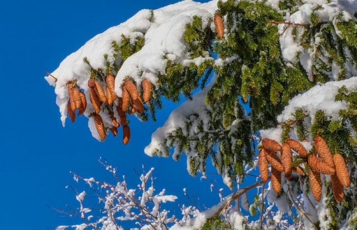 En Suisse, le froid arrive et la neige ne sera pas loin