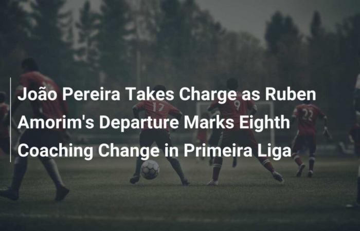 João Pereira prend les rênes après le départ de Ruben Amorim, marquant le huitième changement d’entraîneur de la Primeira Liga