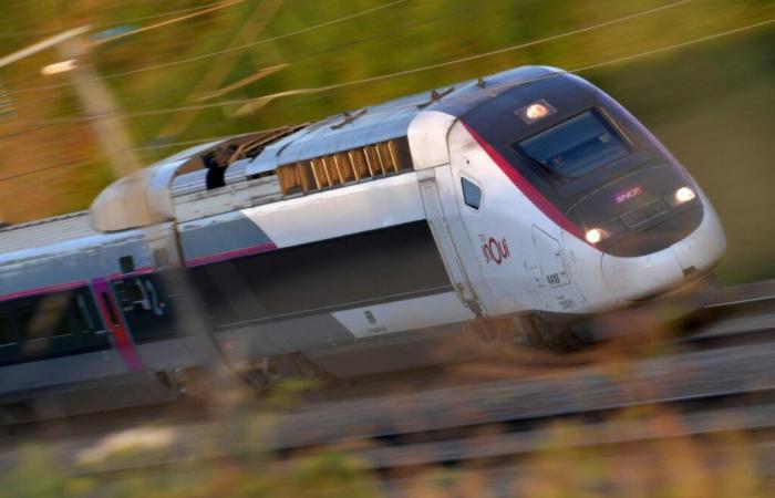 des dizaines d’arbres coupés sur le tracé de la future ligne près de Toulouse, un militant menace de se suicider