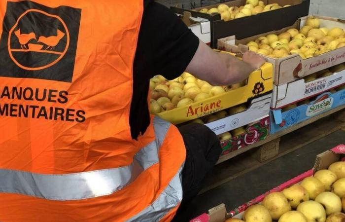 La Banque Alimentaire du Morbihan montre le quotidien de ses bénévoles ce mardi 12 novembre