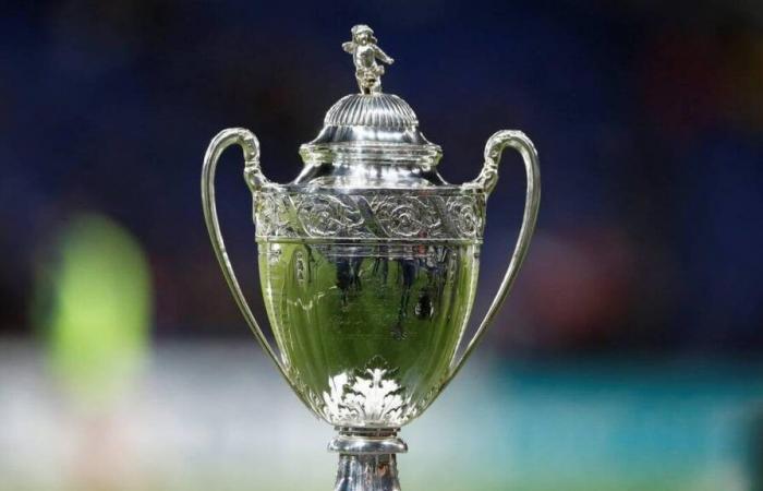 Coupe de France. La liste complète de tous les matchs du 7ème tour