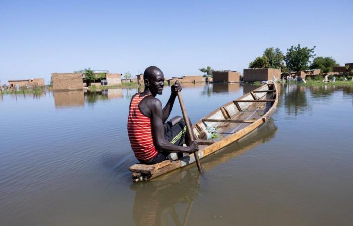 A la COP29, l’Afrique réclame les moyens de s’adapter au réchauffement climatique