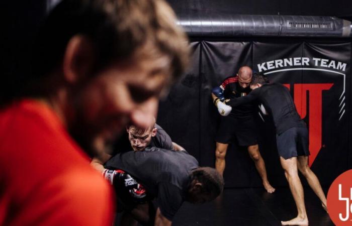 Vivre du MMA est un sport de combat