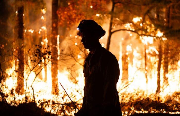 Une sécheresse historique alimente les incendies dans le nord-est alors que les incendies de forêt brûlent sur les deux côtes