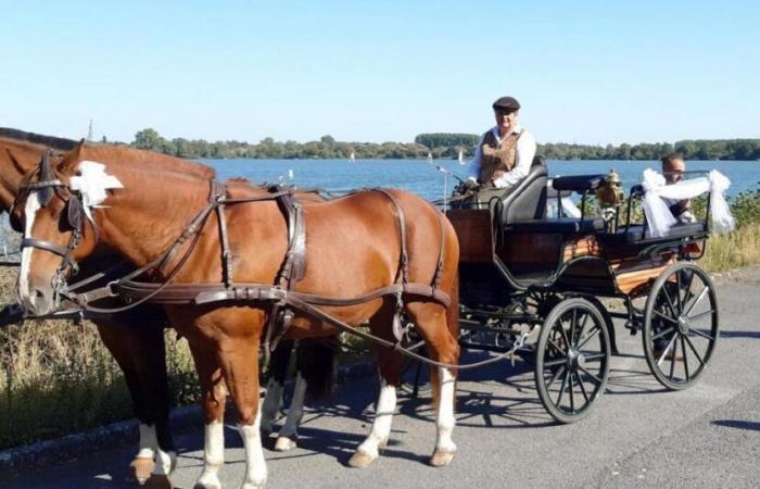 Alors qu’il se promenait avec ses petits-enfants, André Louvigny décède dans un accident de voiture à Bougnimont (Libramont)