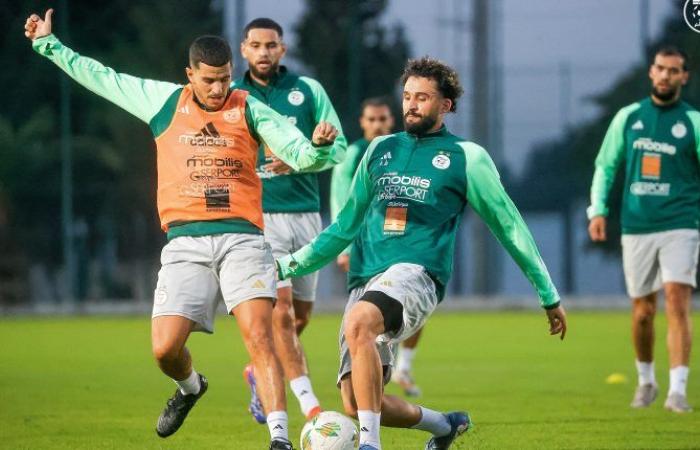 Début de l’entraînement des Verts hier au CTN