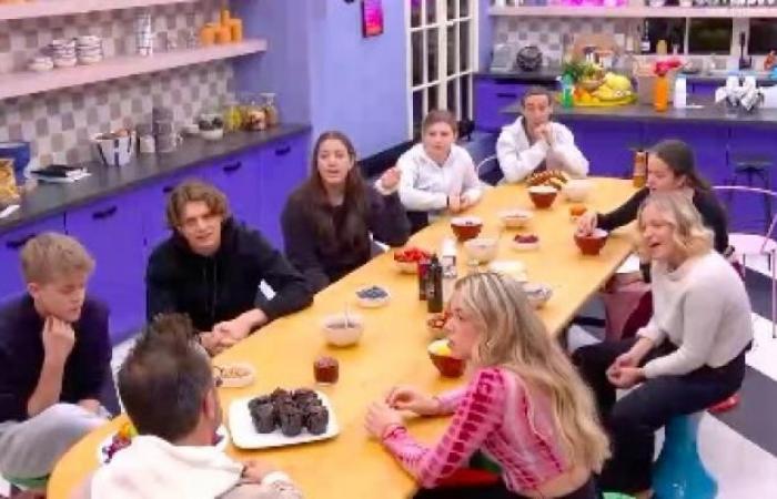 “Un dimanche à la campagne” sur France 2, bien devant le quotidien “Star Academy” qui attire un peu plus de 1,1 million sur TF1