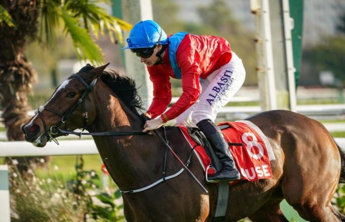 Higher Leaves s’envole dans le Prix Fille de l’Air