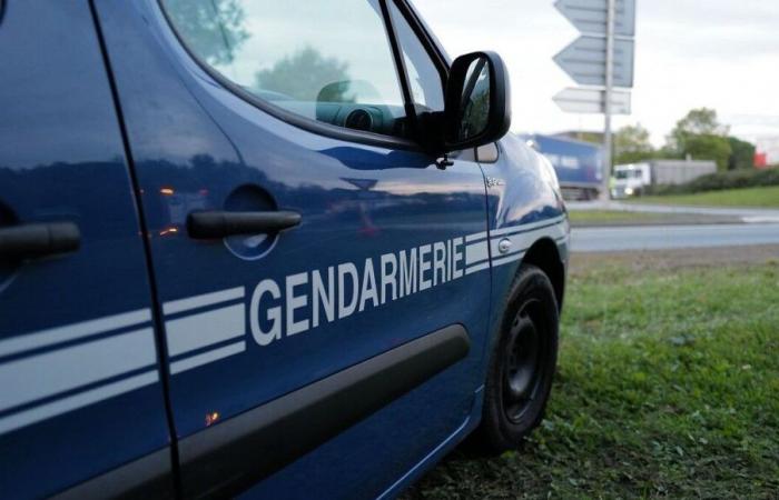 Un appel à témoins lancé par la gendarmerie de Moselle, suite à la disparition inquiétante d’une femme de 74 ans