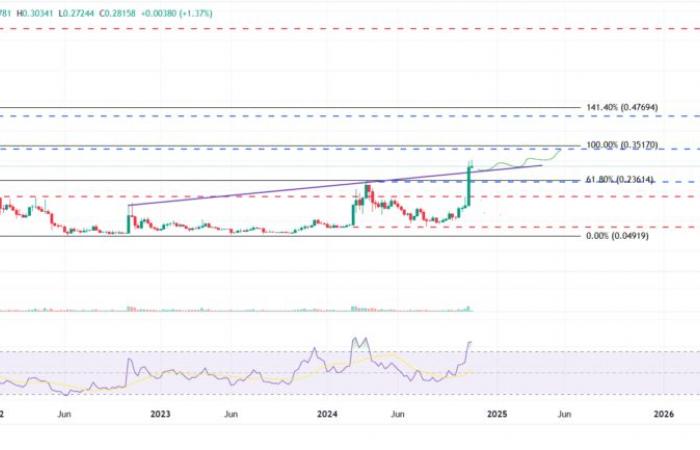 Dogecoin étend ses gains alors que les traders évaluent le rôle d’Elon Musk dans la prochaine administration Trump