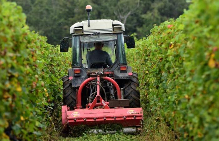 Sur les routes ou dans les champs, y a-t-il plus d’accidents de tracteurs qu’avant ?