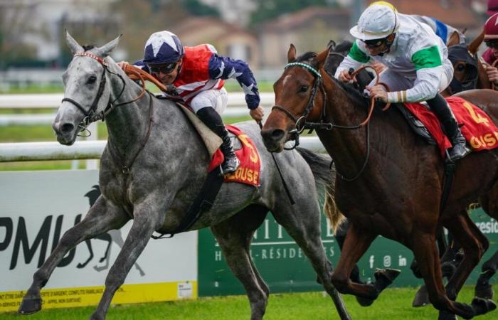 Flamboyante brille au Grand National anglo-arabe