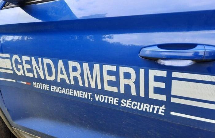 le conducteur qui a fauché « l’homme en bleu » pensait avoir heurté un animal