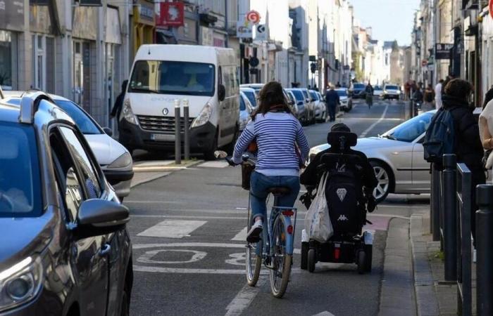 Faut-il interdire les voitures sur les routes ?