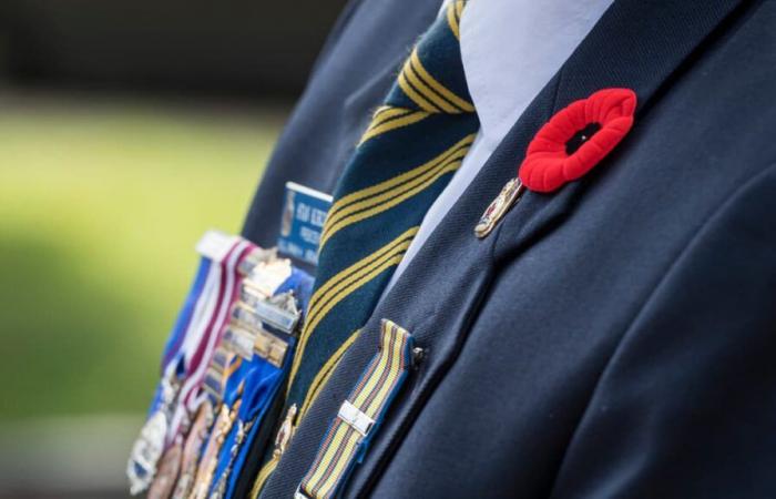 hommage aux anciens combattants canadiens à Ottawa