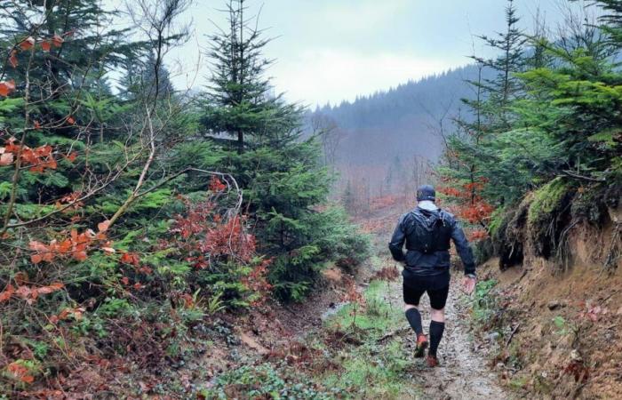 Pour son 18ème anniversaire, le sentier du Loup Blanc se taille la part du lion en Creuse