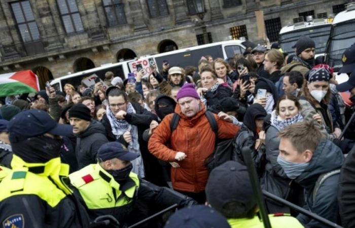 des dizaines d’arrestations lors d’une manifestation pro-palestinienne interdite : Actualités