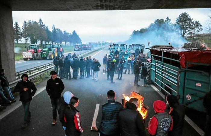 Colère des agriculteurs : faut-il s’attendre à de nouveaux blocages en Ille-et-Vilaine ?