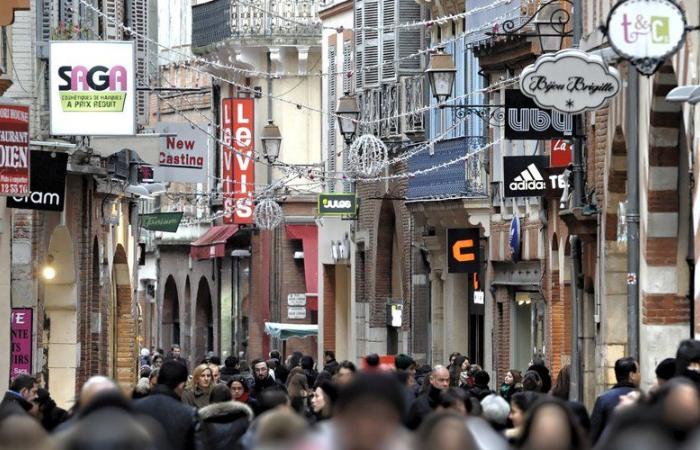 qu’est-ce qui est ouvert ce lundi 11 novembre à Toulouse ?