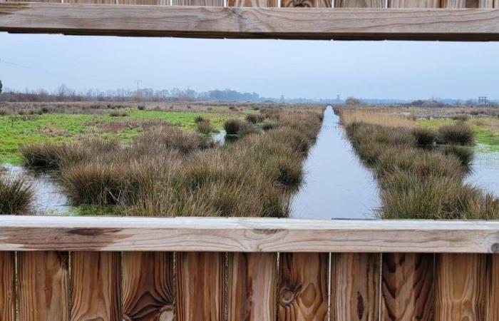 871 hectares doivent intégrer le périmètre des jalles