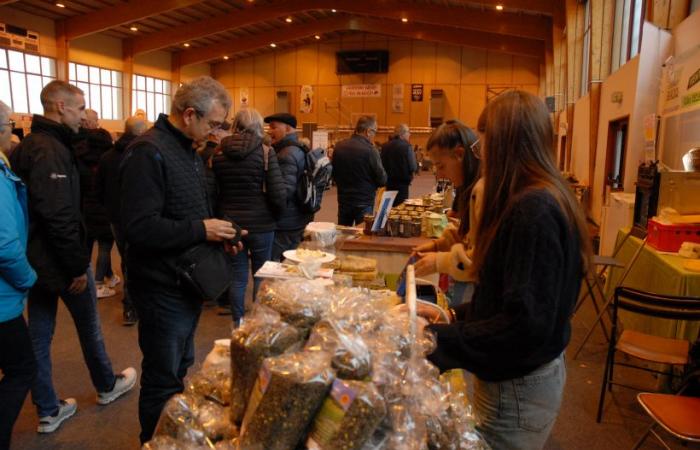 des pépites pour les papilles