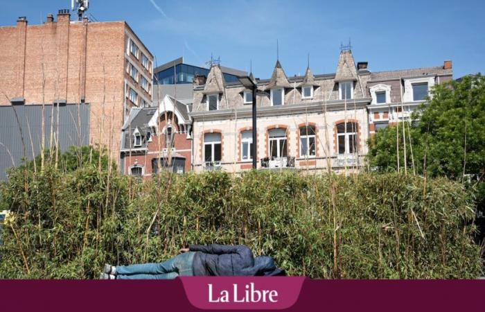 « Dans la rue, à leur place, je ne sais pas comment je survivrais »