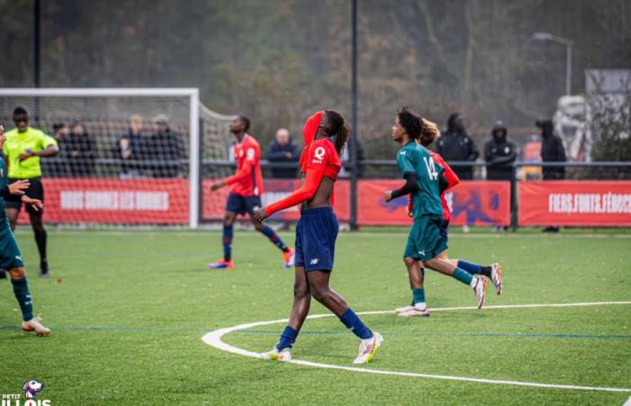 Le Derby du Nord file entre les doigts des jeunes du LOSC