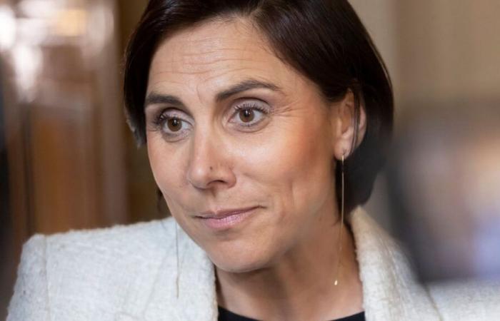 A Toulon, un étranger de l’OQTF pris en flagrant délit de cambriolage dans la voiture de la députée RN Laure Lavalette