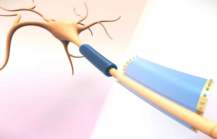 le traitement par cellules souches redonne la vue aux patients souffrant de troubles oculaires graves