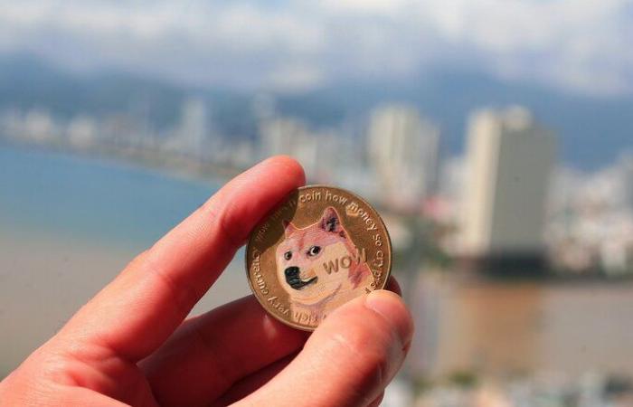 Les pièces de monnaie sur le thème des chiens Dogecoin, Shiba Inu et Dogwifhat prolongent leurs gains alors que le rassemblement dirigé par Trump persiste