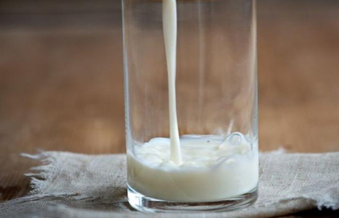 Bouteilles de lait rappelées dans toute la France pour un défaut « organoleptique » : Actualités