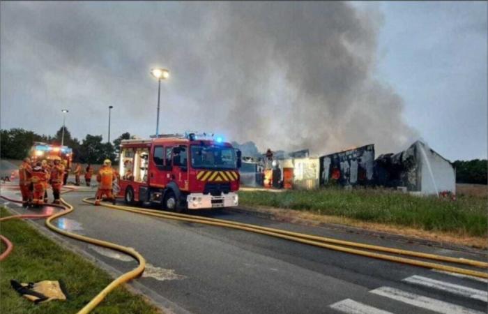 Après l’incendie de son laboratoire, Christine Sauzeau tente de se reconstruire avec l’aide de ses collègues