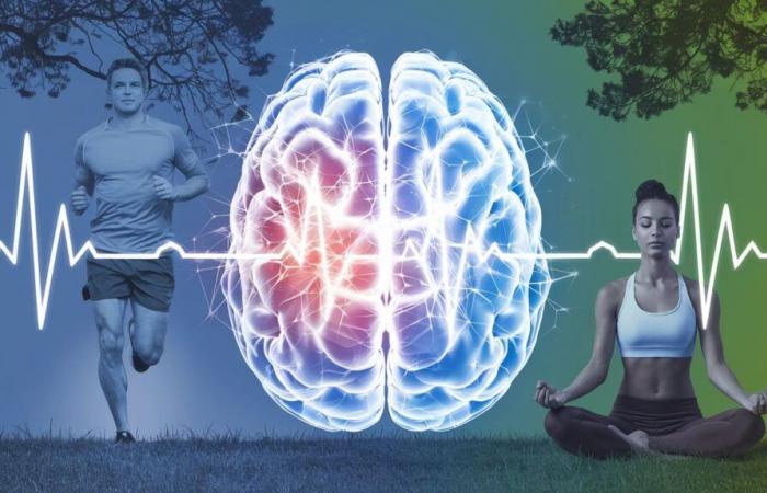 Chacune de nos activités impacte notre cerveau… pendant plusieurs semaines ! ????