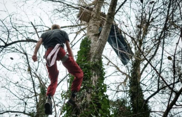 VIDÉO. “Je veux voir s’ils sont prêts à tuer des gens”, un “écureuil” menace de se pendre sur le chantier de la LGV