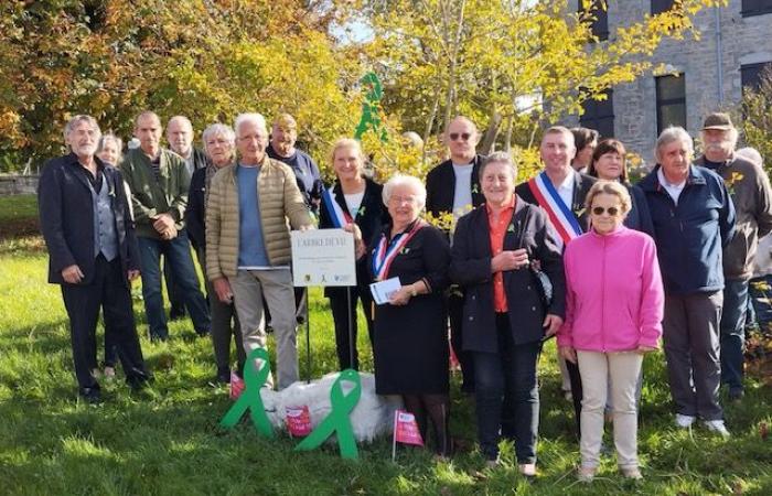 Champagnole & Région. Un arbre de vie pour honorer les donneurs d’organes, une première dans le Jura !