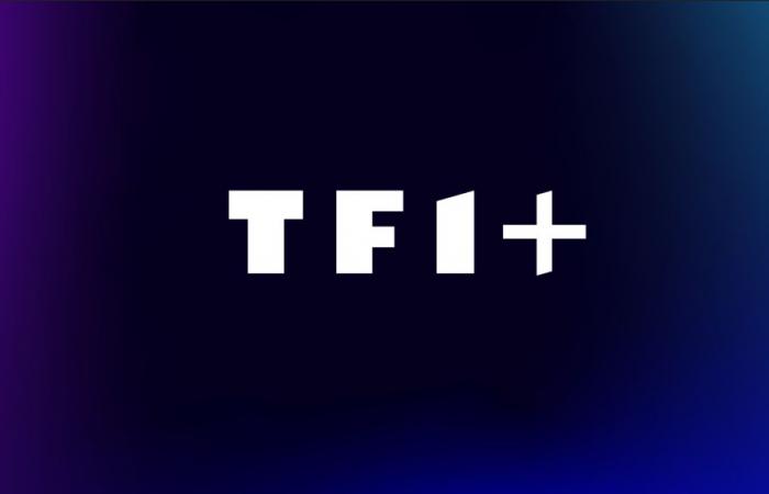 Arte et ses 2000 heures de contenus arrivent sur TF1+, bientôt disponibles sur les Freebox