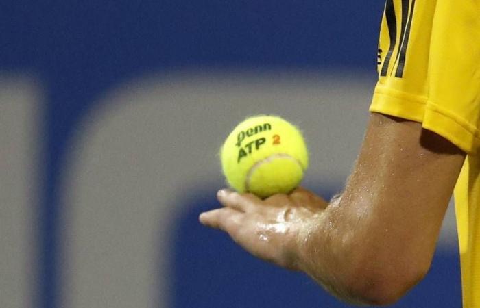 Cotes des paris sur les finales Nitto ATP et aperçus des matchs du 11 novembre 2024, simple messieurs