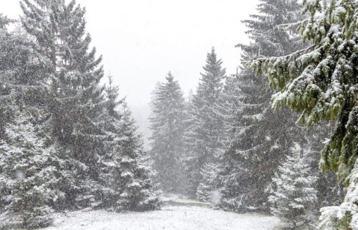 La limite des chutes de neige continue de baisser : l’hiver aura-t-il même de la neige dans le nord ?