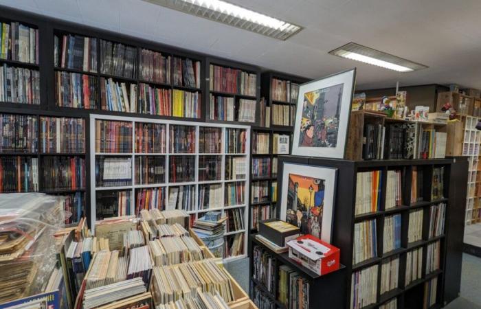 ouvre une librairie pour vendre son exceptionnelle collection de 26 000 bandes dessinées, mangas et comics