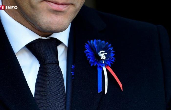 pourquoi les Français et les Britanniques portent-ils le bleuet et le coquelicot ?