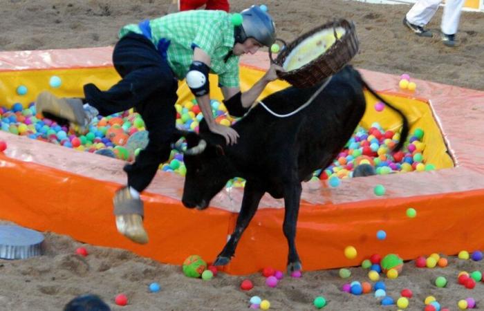 sans vaches, Dax et Mont-de-Marsan ne participeront pas au salon