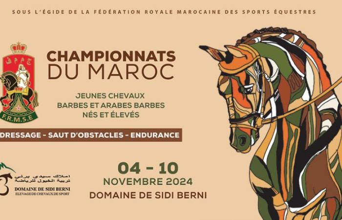 Championnats marocains de dressage, de saut d’obstacles et d’endurance : les derniers verdicts